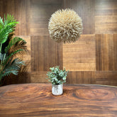 Delaney Light - AVRS FURNITURE