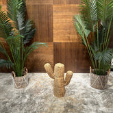 Saguaro - AVRS FURNITURE