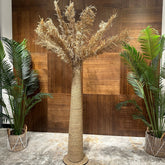 Paloma - AVRS FURNITURE