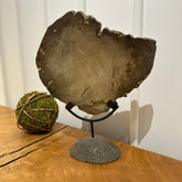 Kai Stone Decor - AVRS FURNITURE