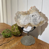 MARIPOSA STONE DECOR - AVRS FURNITURE