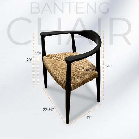 BANTENG Black Rattan Armchair Boho